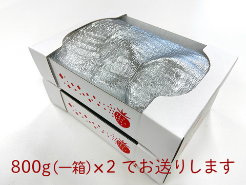 冷凍いちご（品種おまかせ）1.6kg（800gx2袋）【お菓子、ジャム作りに！】