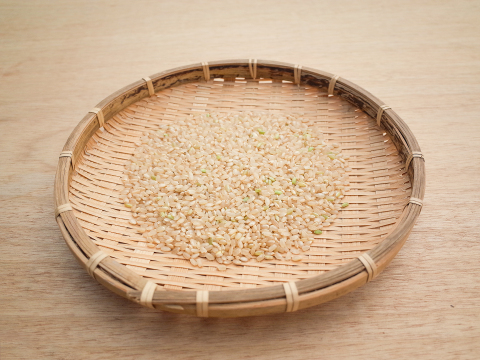 【令和7年 新米】【玄米】岡山県産 にじのきらめき 虹のきらめき 9kg 2025年度