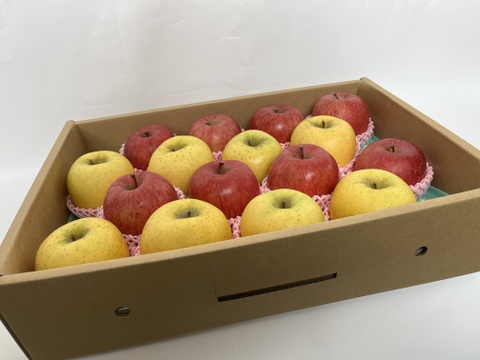 《ふじ×シナノゴールド》家庭用 5kg×2箱