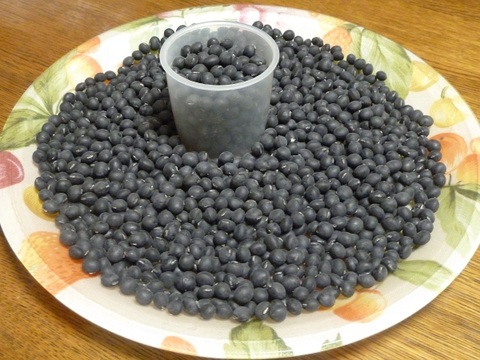 【新・乾燥豆】黒大豆　無選別特価　約100g