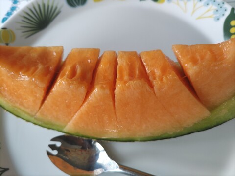 いよいよラスト！北海道赤肉🍈青肉🍈シーズンラストで３Ｌビッグサイズ。日高サラブレッド堆肥と有機質肥料で育ったメロン２玉 。赤肉。青肉。品種はお任せ。農薬・化学肥料不使用栽培🍈は希少。