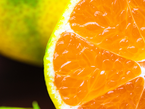 【EHIME UWAJIMA】秋の訪れを告げる爽やか極早生みかん<日南一号>！Aセレクション（家庭用良品）3kgBOX（2.7kg正味)