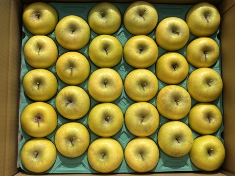 超小玉❗️甘～いりんご✨ぐんま名月 5kg箱 25～28個入り 信州りんご