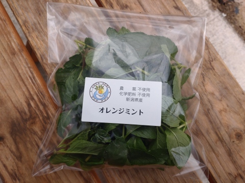 【少量生産】アクアポニックスで育てたオレンジミント（30g）