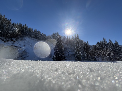 精米  魚沼産コシヒカリ 10㎏  令和7年産  魚沼市産