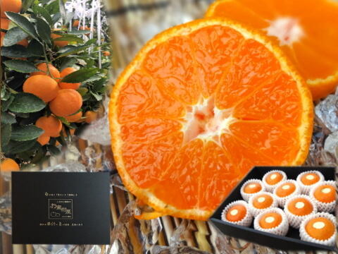 【夏ギフト】【お中元】とろける甘さ！濃厚ハウスみかん！薄皮で果汁たっぷり！キンキンに冷やしてやみつき！ネットで話題の「蜜ツ星（みつぼし）」　黒の化粧箱(小)　Ｓサイズ　秀品　１０玉入　【商品番号01】