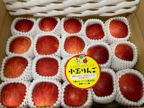 まるごとガブリっ！奥州ロマン☆小玉・食べきりサイズりんご【岩手江刺産】３㎏