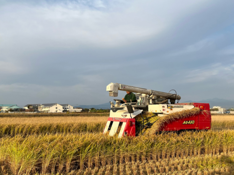 ✨令和７年産新米✨ﾌﾟﾚﾐｱﾑｸｵﾘﾃｨ認定５㎏｢ひめの凜｣一等米【白米】