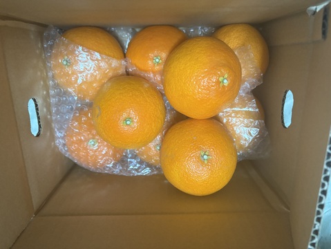 【ぷるん、とろり】完熟ハウス 福まどんな《ご家庭用 2kg》｜サイズ混合｜愛媛・西宇和産