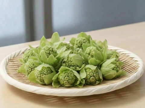 旬をいただく！愛知県豊田市旭産　天然ふきのとう 200ｇ