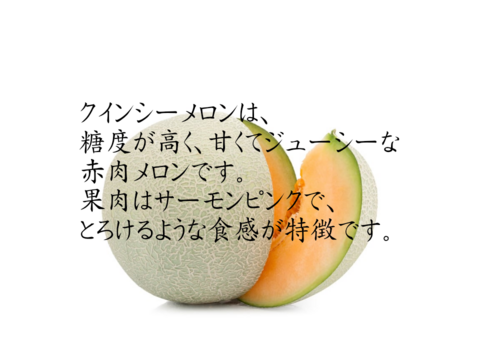 熊本県八代産　クインシーメロン　５玉　３Ｌサイズ