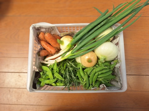 【農薬化学肥料不使用】旬の野菜セット(80サイズ)5品