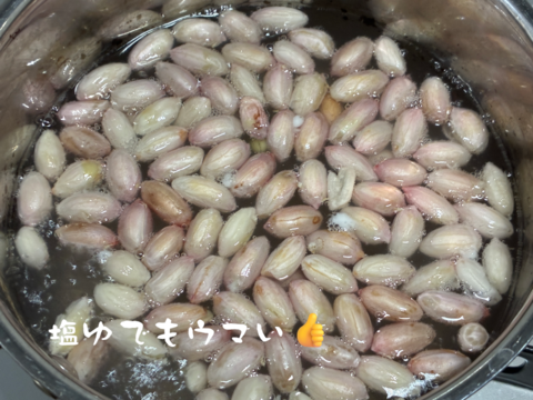 【セール中】落花生の王様！『千葉半立落花生』らっかせい(乾燥500g)生1.3kg相当品