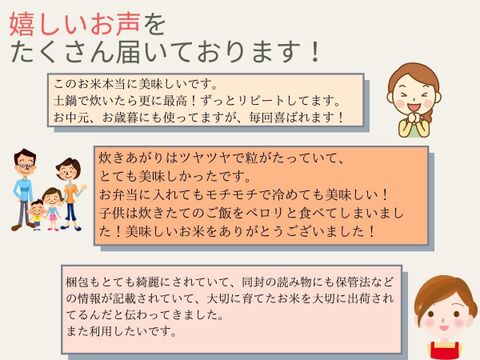 【通常価格6,000円⇨セール価格5,100円】270年お米づくり一筋！特別栽培米「コシヒカリ」 白米5kgx2袋(10kg)十代目松治が作った自信のお米！