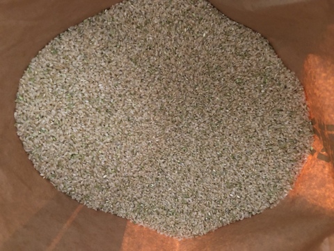 北海道の良質米表彰者が作る少量栽培【ななつぼし】玄米10㎏（令和４年産）