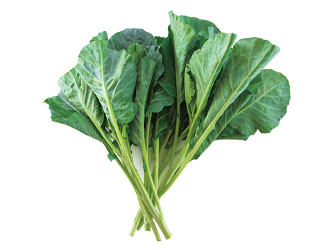 石井食品おまけ付【TV紹介で大好評】【ミシュラン星獲得レストランで採用】おいしさで、ケールに革命を。【機能性表示食品】ソフトケールGABA（500g）静岡県磐田市産