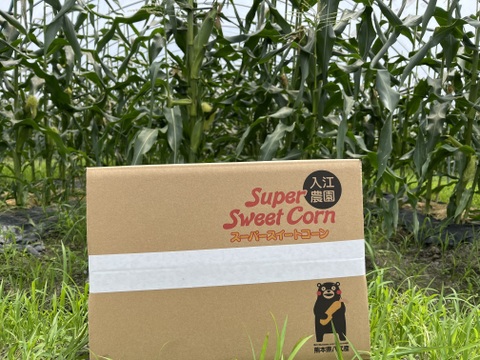 入江農園のスーパースイートコーン4kg