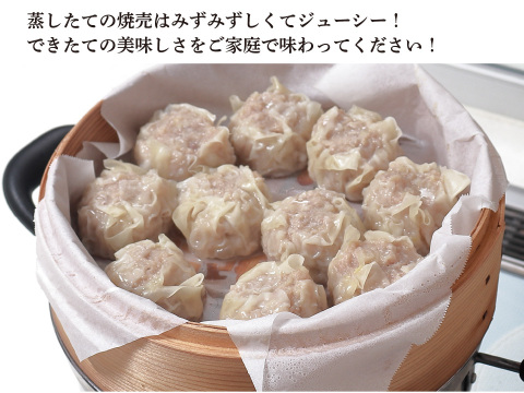 【予約販売・4/14発送分】元気豚　大粒肉焼売手作りキット　500ｇ（10個分）　※お届け日指定不可