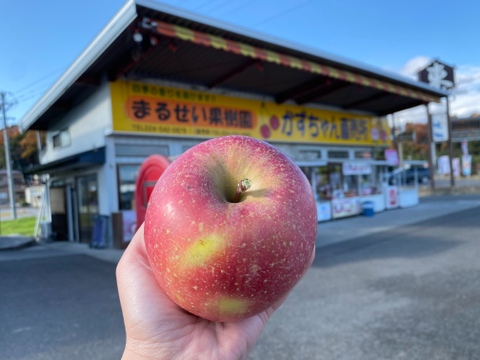 まるせい果樹園の葉とらずふじ　3㌔　贈答用　自家用　家庭用