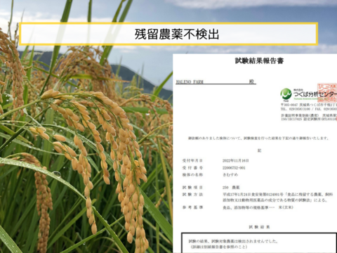 ワンコインのお試し米（5合）特A　優良金賞受賞米　きぬむすめ　栽培期間化学肥料不使用