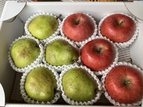 ★山形県東根市産★🍎サンふじ＆🍐ラフランスセット☆　３kg