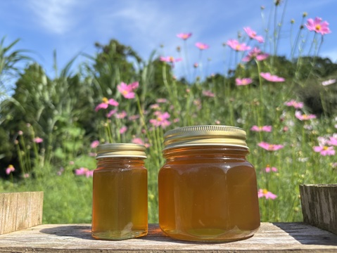 Unzen Pure Honey【にほんみつばちのはちみつ】