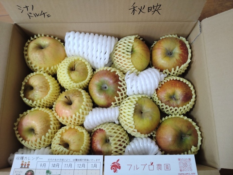 【りんご農家におまかせ！】旬のおまかせりんご 葉とらずりんご(無選別) アウトレット用 約2.5kg(6-16玉)1~3種類 長野県 信州 りんご リンゴ #NAX0X025