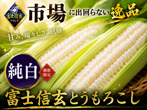 トウモロコシのある静物 さとふる人気急上昇1位達成】今までひた隠しにしてきた純白の富士信玄