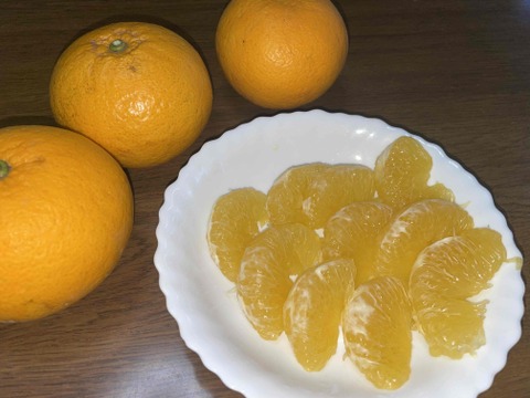 ハッサク(八朔)　（糖度11当農園測定値）箱込み3.5㎏以上　２Lから４Lサイズ　（300g～450g）
【農薬化学肥料不使用】