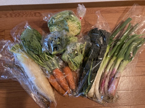 旬の露地野菜セット(9～10品)