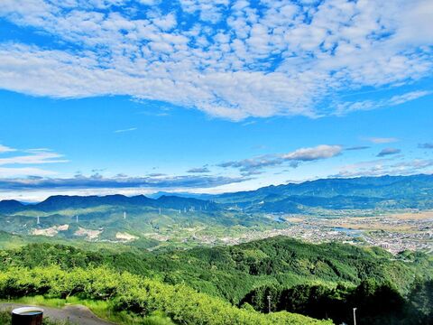甘みと酸味のバランスが最高！豊水梨（家庭用）　約5kg(18玉)　小ぶり