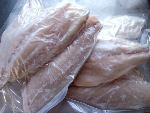 冷凍ヘダイ♪ムニエル、アクアパッツァ、塩焼き、フライ、煮付け、お吸い物などに！半身9枚入