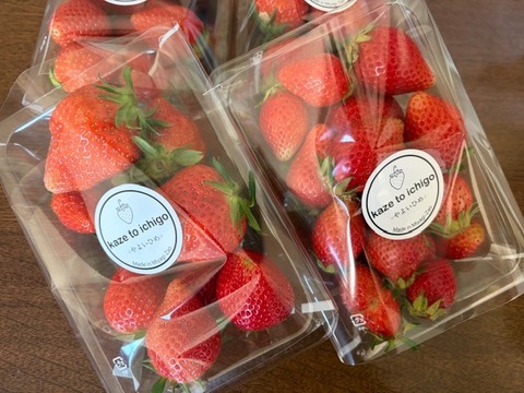 【不揃い･やよいひめ】宮城蔵王産 いちご 250ｇ×4ｐ