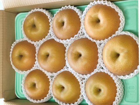 【樹上完熟和梨】あきづき～抜群のシャキシャキ感と濃厚な甘さ～5㎏以上