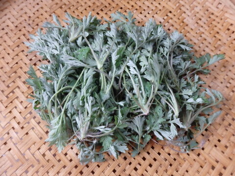 【自然栽培】よもぎ