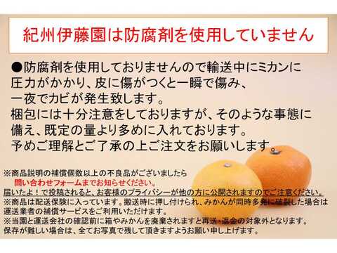 【朝市限定】S～Mサイズ混合2kg とみ子ばぁばの完熟宮川早生みかん　糖度13度以上＜有田産>