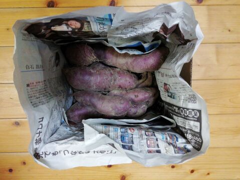 さつまいも(パープルスイートロード)３㎏前後【農薬化学肥料不使用】【熨斗(のし)対応可】【あわせ買い可】　サツマイモ