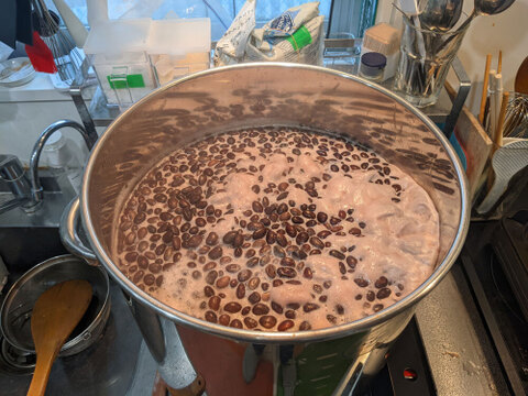 北海道ニセコ　自然栽培　天穀黒豆330gｘ2袋　ジッパー付真空パックでお届け　2025年産