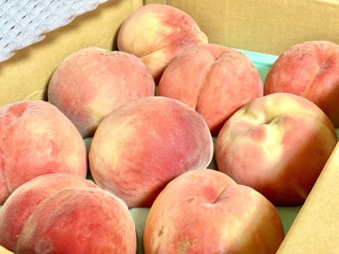 訳あり 固い桃 おどろき 福島県伊達市産 3kg