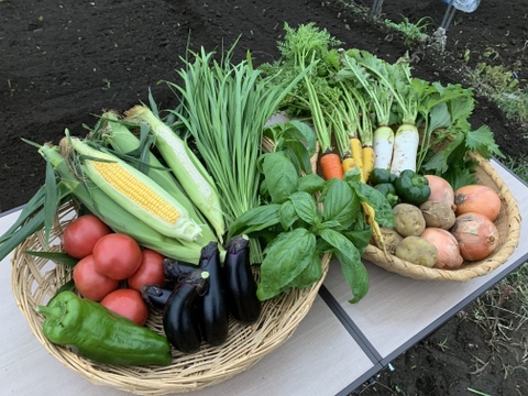 フルセット【FARMABE ニラがメインのお任せ野菜セット 6〜10品目ドレッシング3種 付き】
100サイズ（3〜4人）※画像は季節による参考野菜となります。