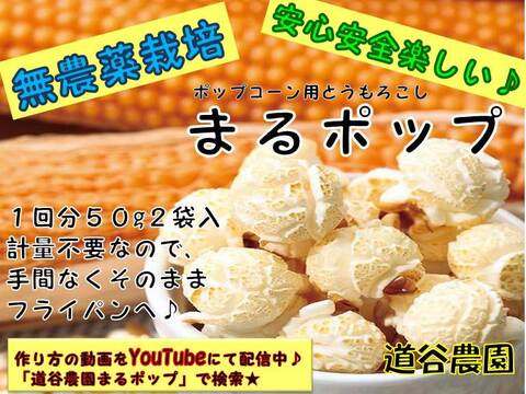 無農薬栽培で安心 安全 楽しい時間を 丸ポップ ポップコーン豆５０g ６袋 埼玉県産 食べチョク 農家 漁師の産直ネット通販 旬の食材を生産者直送