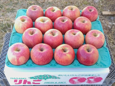 信州産葉とらずサンふじ家庭用5kg11〜18個入り 美味しさ重視のおすすめ品！