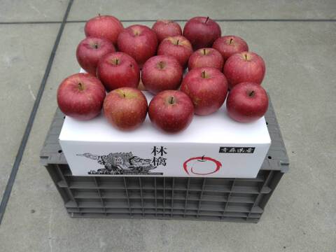 家庭用りんご　サンふじ 6㎏（包装資材なし）青森県産