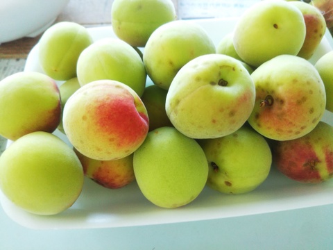 User643707さま専用　２０２２予約販売！！。
【自宅で作る「梅シロップ」】　５００ｇパックを4セット(合計２Ｋｇ）
シロップ漬けのレシピ付き