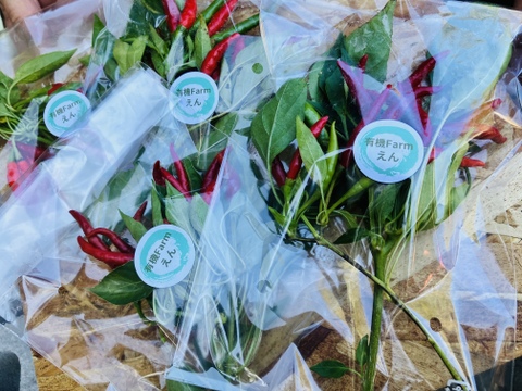 ピリッと美味しい！フレッシュ鷹の爪