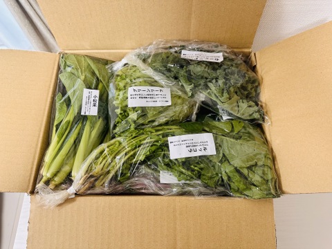 旬のVEGE箱（Rサイズ）】土壌医＆有機農家がつくる！畑の「今」を箱
