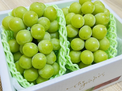 翠の饗宴 岡山育ちシャインマスカット二房セット：岡山県産のシャイン