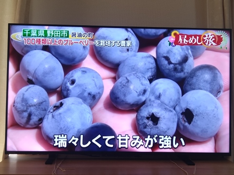 化学肥料・農薬不使用！　生果ブルーベリー１ｋｇ