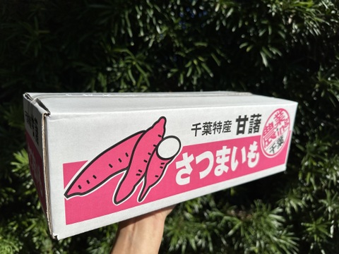金時芋　千葉県産