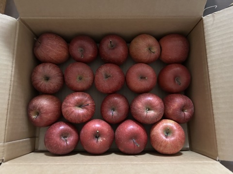 【極小玉・バラ詰め】サンふじ🍎家庭用約3Kg🍎毎日りんご　コスパ抜群　青森県産　数量限定　ポケットりんご